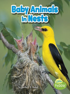 cover image of Baby Animals in Nests
